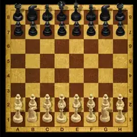 Chess