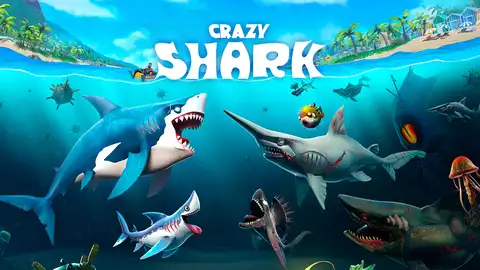 Crazy Shark